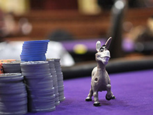 i donkey, principianti del poker